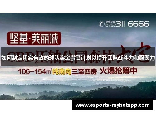 如何制定切实有效的球队奖金激励计划以提升团队战斗力和凝聚力
