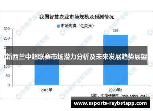 新西兰中超联赛市场潜力分析及未来发展趋势展望