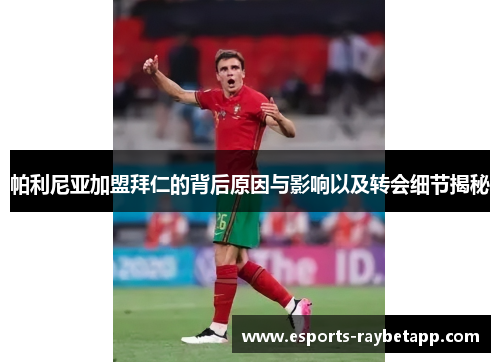 帕利尼亚加盟拜仁的背后原因与影响以及转会细节揭秘