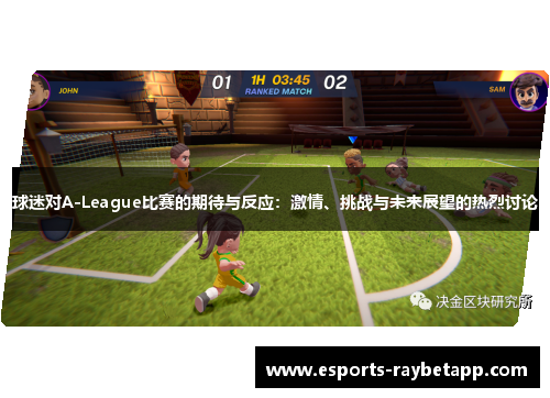 球迷对A-League比赛的期待与反应：激情、挑战与未来展望的热烈讨论