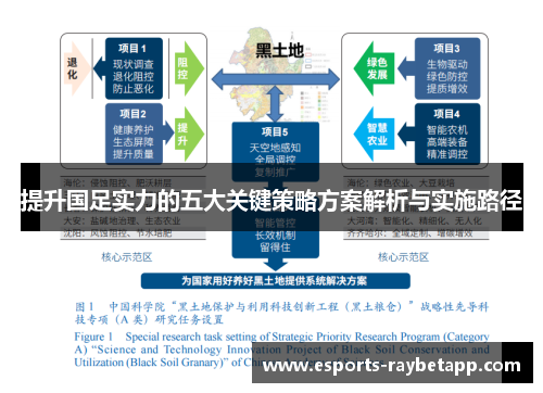 提升国足实力的五大关键策略方案解析与实施路径
