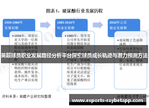 英超球员职业发展路径分析平台探索球员成长轨迹与潜力预测方法