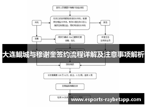 大连鲲城与穆谢奎签约流程详解及注意事项解析