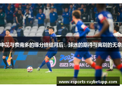 申花与费南多的缘分终结背后：球迷的期待与离别的无奈