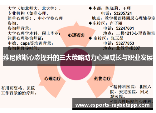 维尼修斯心态提升的三大策略助力心理成长与职业发展