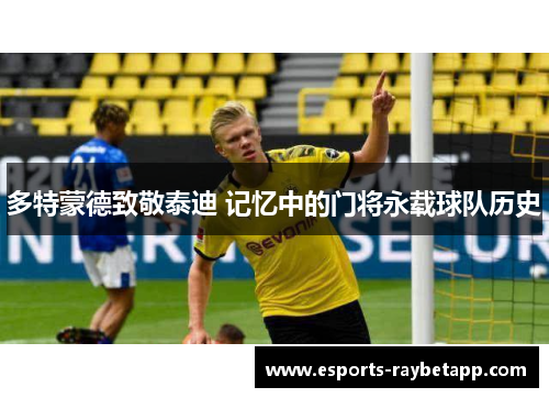 多特蒙德致敬泰迪 记忆中的门将永载球队历史