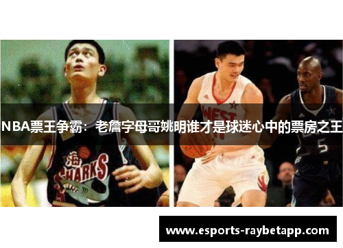 NBA票王争霸：老詹字母哥姚明谁才是球迷心中的票房之王