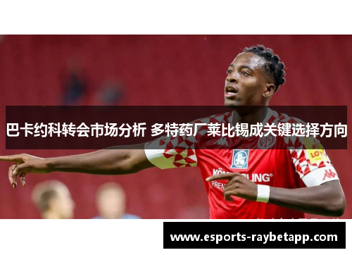巴卡约科转会市场分析 多特药厂莱比锡成关键选择方向