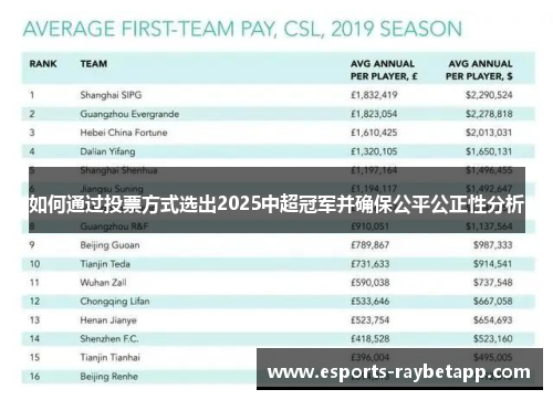 如何通过投票方式选出2025中超冠军并确保公平公正性分析