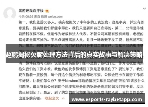 赵鹏揭秘欠薪处理方法背后的真实故事与解决策略