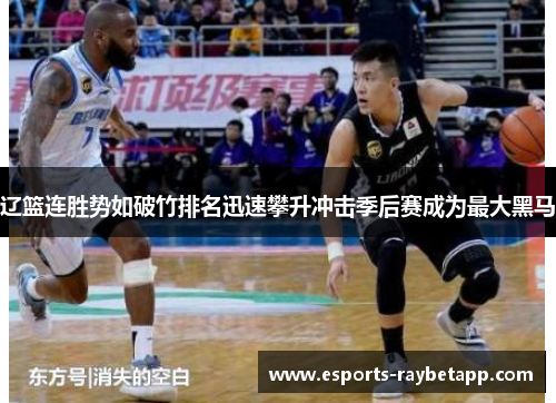 辽篮连胜势如破竹排名迅速攀升冲击季后赛成为最大黑马
