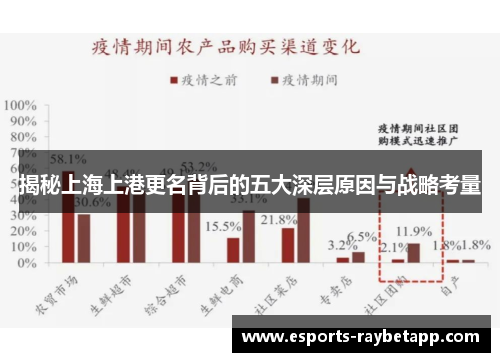 揭秘上海上港更名背后的五大深层原因与战略考量