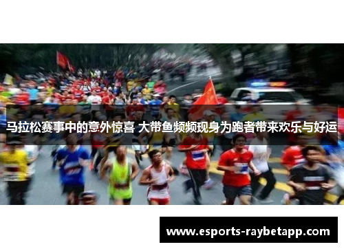 马拉松赛事中的意外惊喜 大带鱼频频现身为跑者带来欢乐与好运