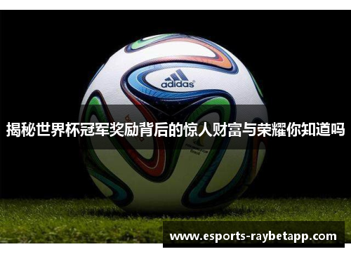 揭秘世界杯冠军奖励背后的惊人财富与荣耀你知道吗
